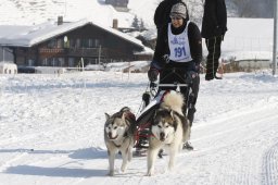 Lenk 2012 SM